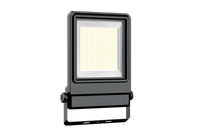 LED-Flutlicht-II