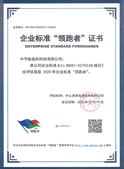 Zertifikat zum Enterprise Standard Leader